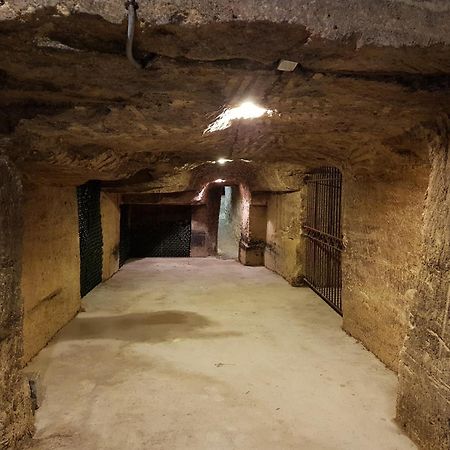 Chateau Fleur De Roques - Puisseguin Saint Emilion Esterno foto