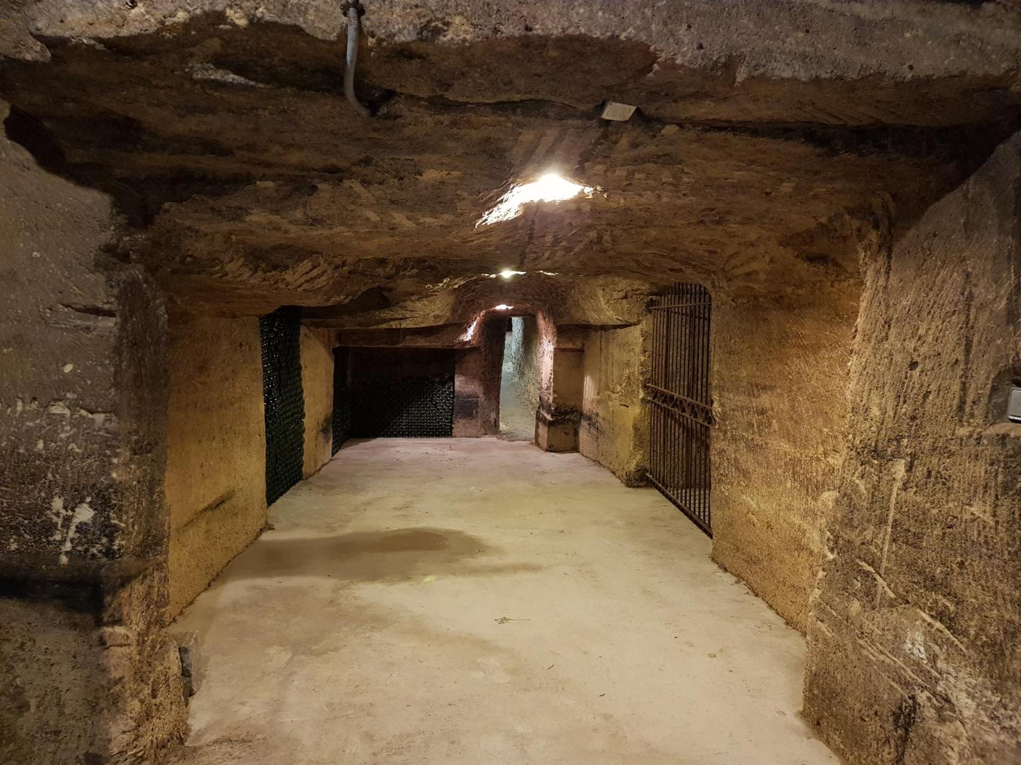Chateau Fleur De Roques - Puisseguin Saint Emilion Esterno foto