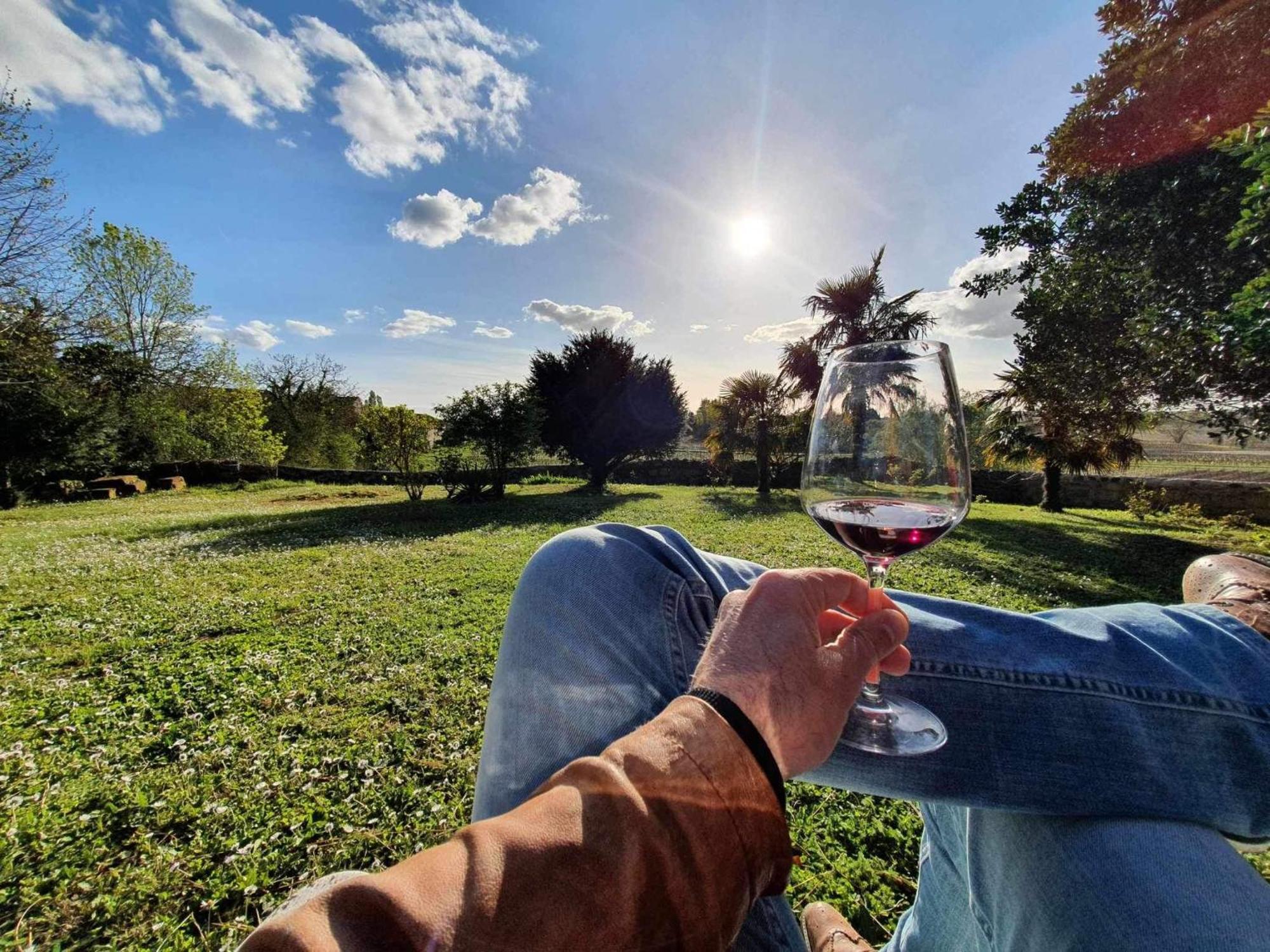 Chateau Fleur De Roques - Puisseguin Saint Emilion Esterno foto